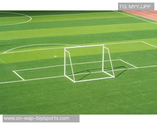 足球场分布图解析与城市足球文化发展关系探讨